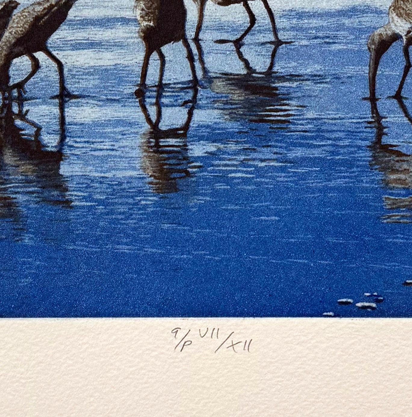 Shorebirds, by Stephen McMillan For Sale 3
