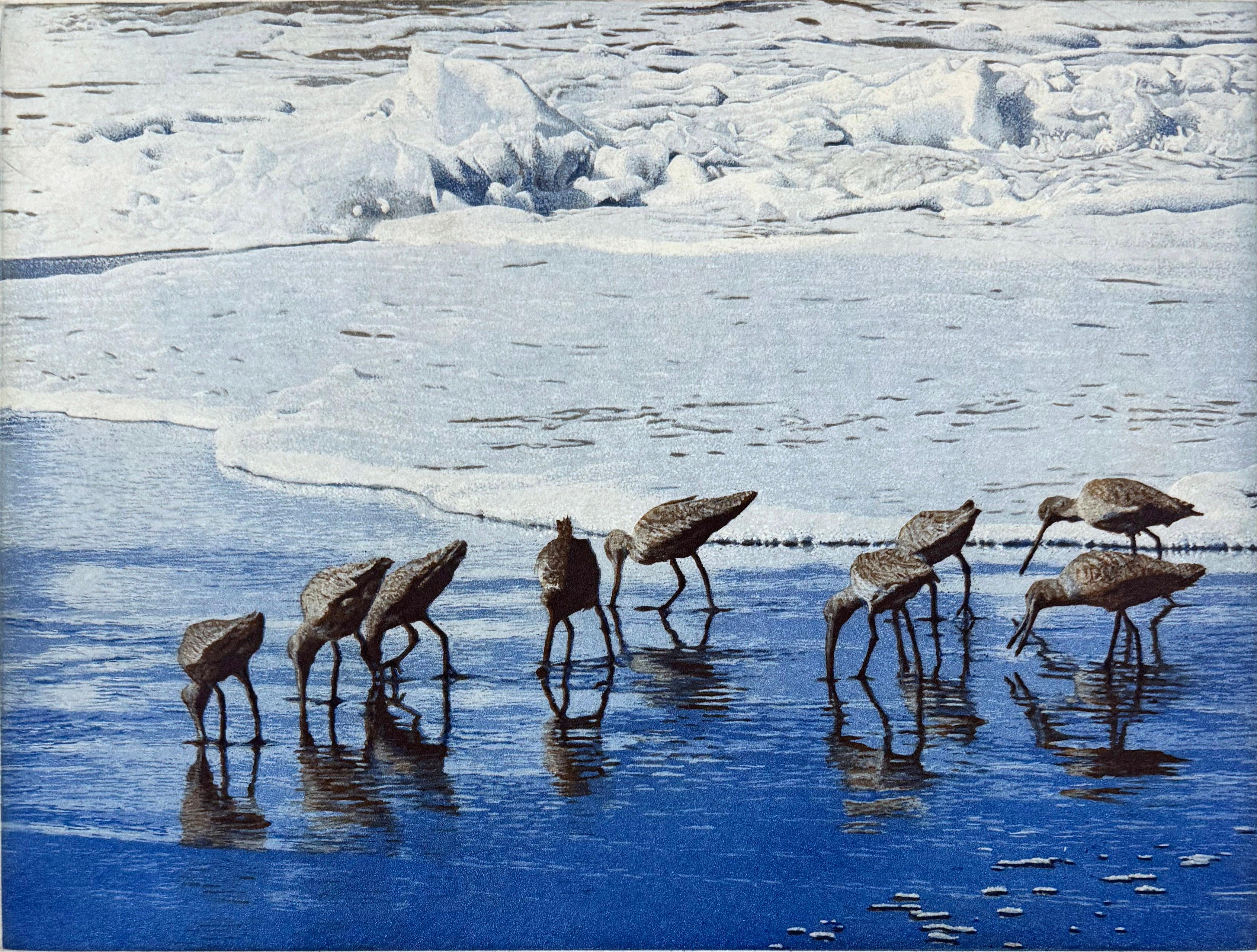 Médium : eau-forte et aquatinte
Edition de 100
Année : 2015
Taille de l'image : 9 x 12 pouces
Signé, titré et numéroté par l'artiste.

Inspiré par une scène de sept oies canadiennes dans le lac Padden, Bellingham, WA. C'est un exemple parfait du