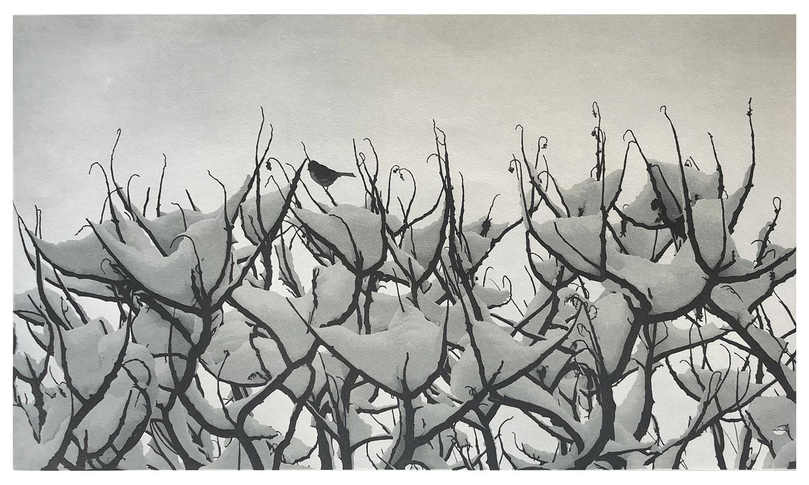 Stephen McMillan Animal Print - Snow Bird