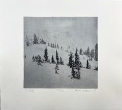 Solstice, by Stephen McMillan