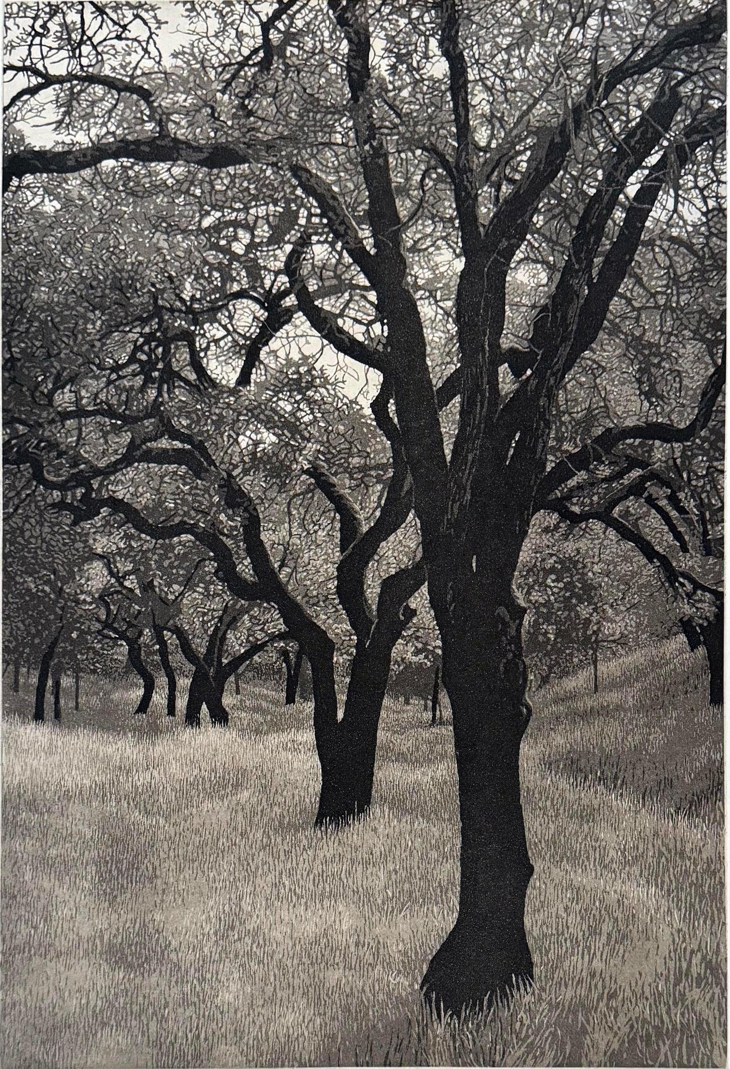 Tarde de verano, de Stephen McMillan