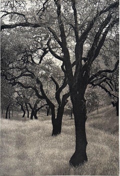 Un après-midi d'été, par Stephen McMillan