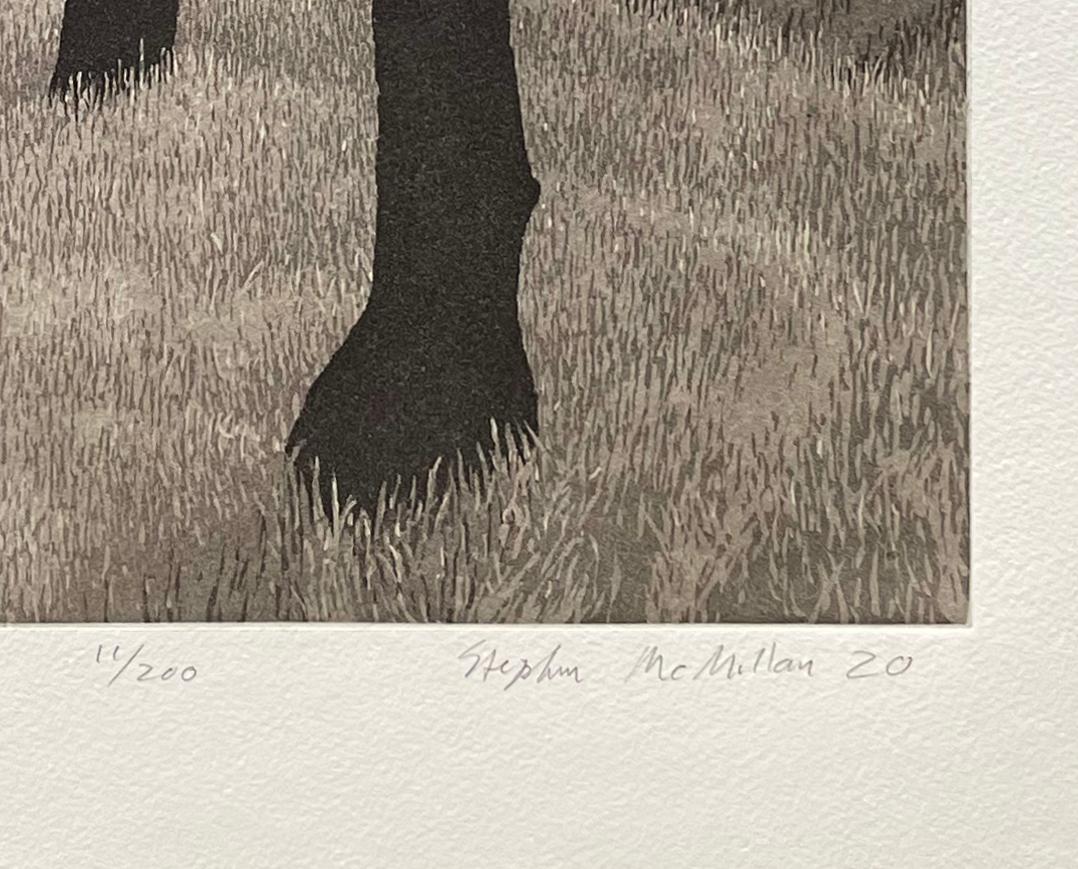 Signed, titled and numbered aquatint print. Summer light infuses the Live Oaks in a park near the town of Sonoma, CA. Wheat colored grasses rustle lightly in the brease.

This is a great example of McMillan's work. He takes his inspiration from the