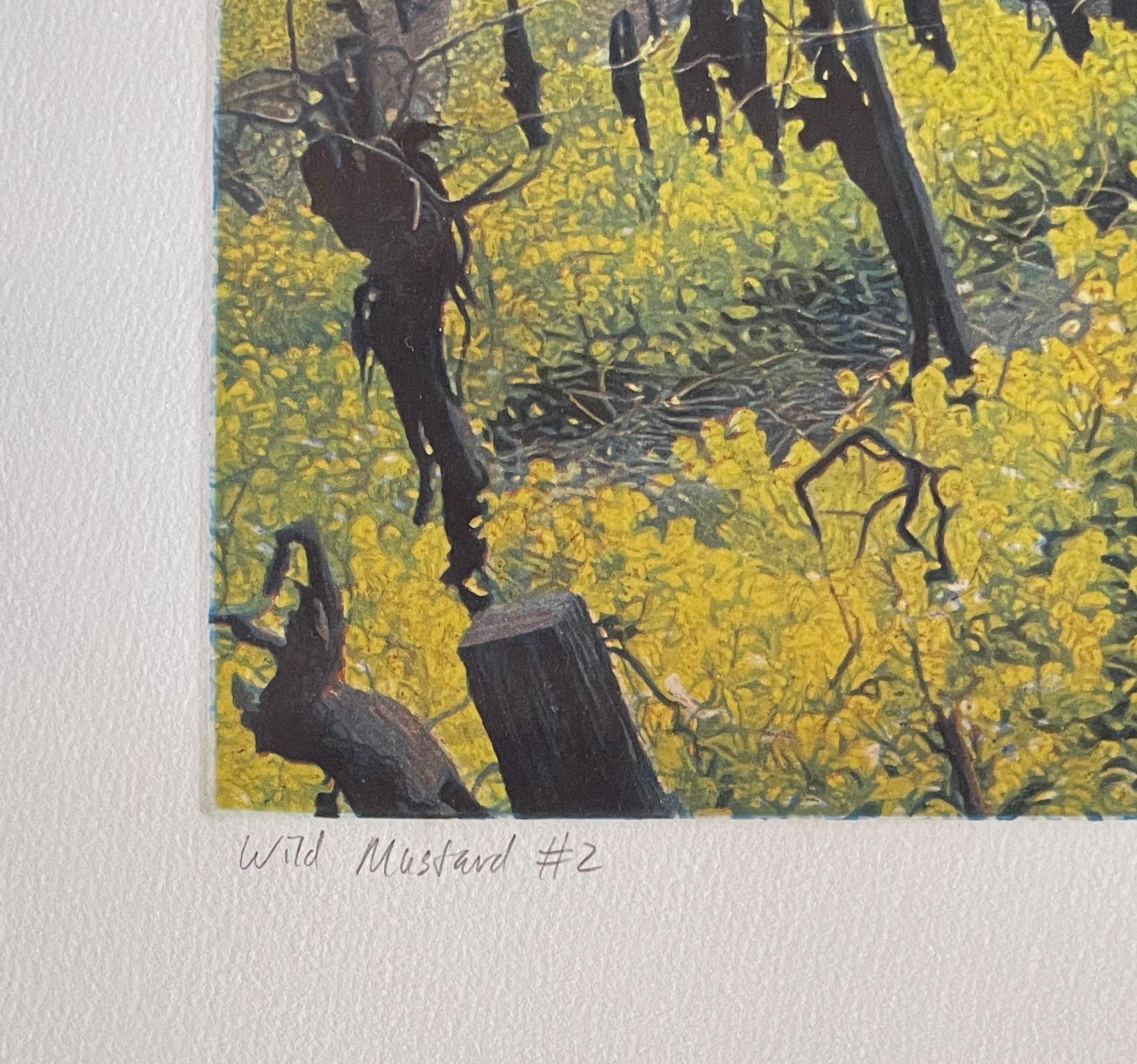 Wild mustard flowers in the vineyards of southwest Napa Valley, Napa County, California. Signed and numbered etching and aquatint from the edition of 250.

Born in Berkeley, California, on December 21, 1949, he was raised in a home that had a