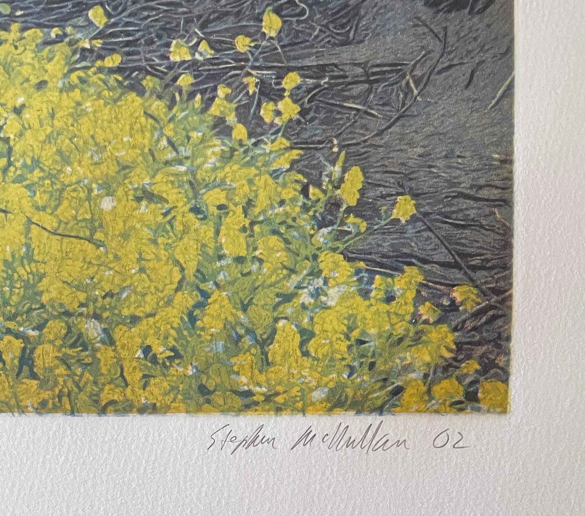 Wild Mustard, by Stephen McMillan 1