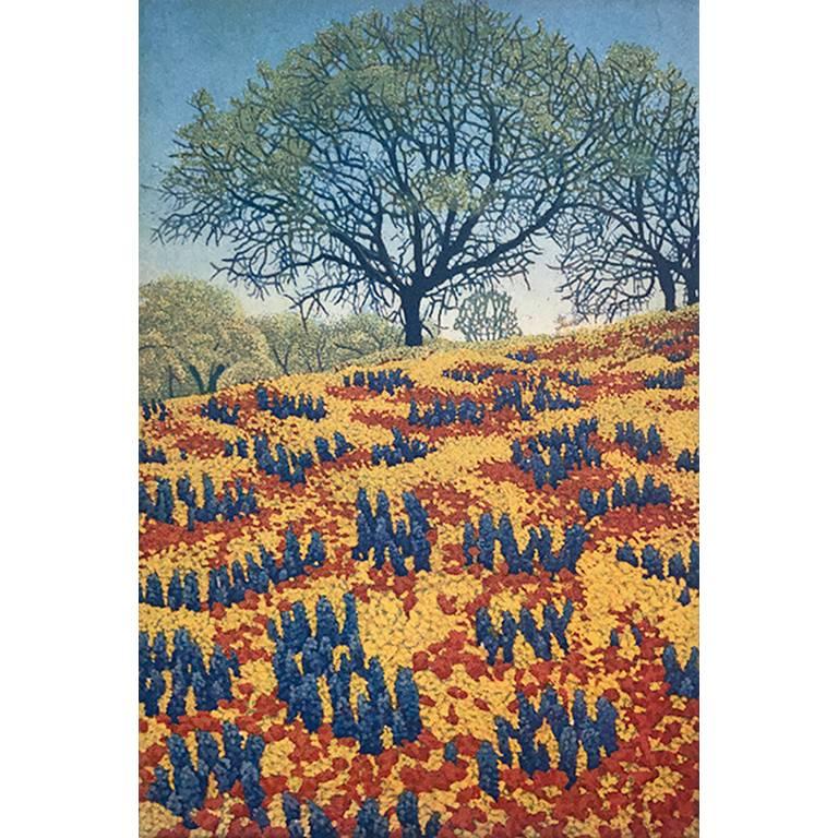 Landscape Print di Stephen McMillan - Stampa all’acquaforte “Fiori selvatici”, Paesaggio contemporaneo, Firmata, 2010-