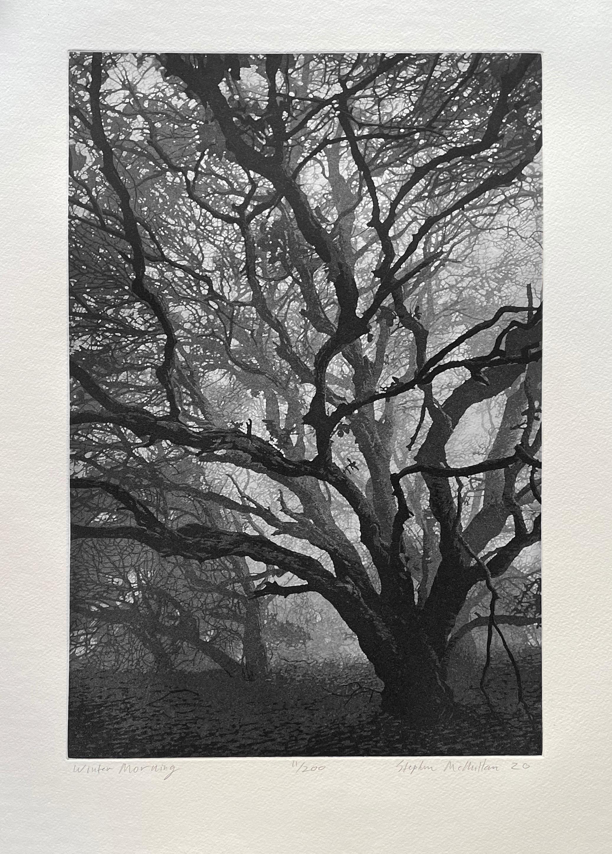 Mañana de invierno - Photograph Contemporáneo de Stephen McMillan