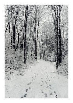 Winter Path
