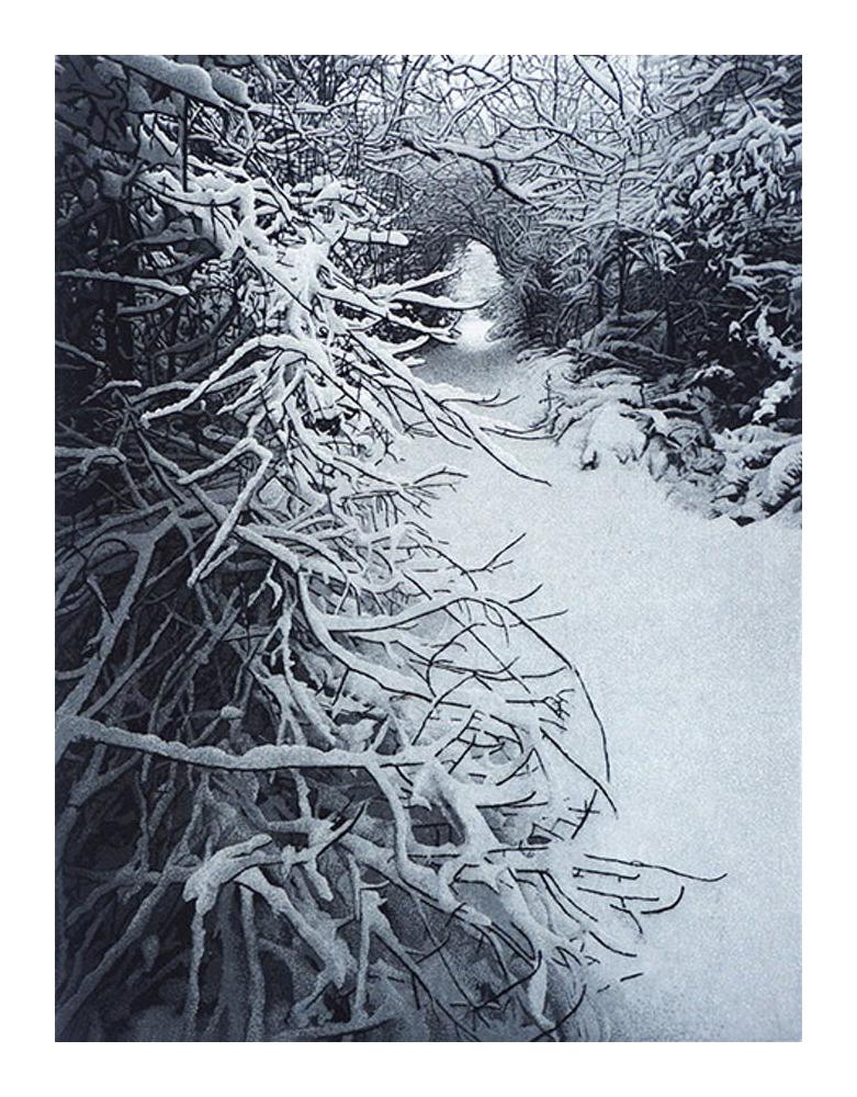 Winter Zen - Photograph by Stephen McMillan