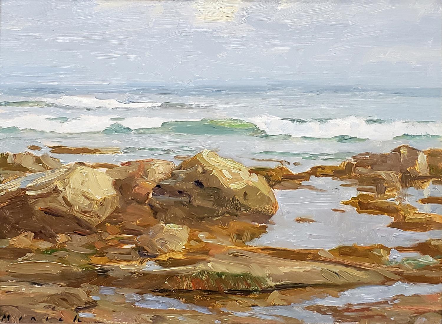 Tide Pools; Cabrillo Beach, California - Painting by Stephen Mirich