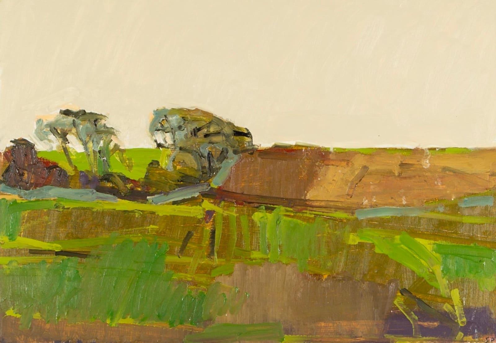 Near Pyecombe Painting by Stephen Palmer B. 1959, 2023

Additional information:
Medium: Oil on panel
Dimensions: 33 x 47 cm
13 x 18 1/2 in
Signed, dated and titled verso.

Stephen Palmer is a painter of landscape with a distinctive modern style. His