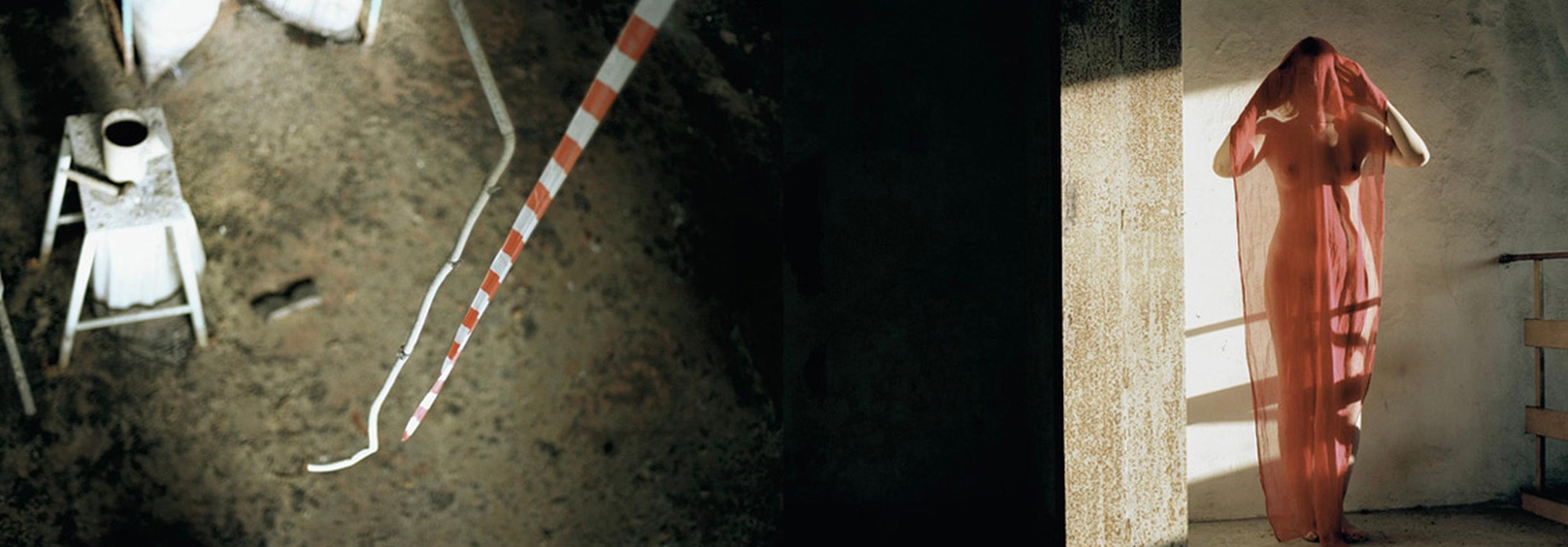 Stephen Roach Color Photograph – Tropfen-Diptychon