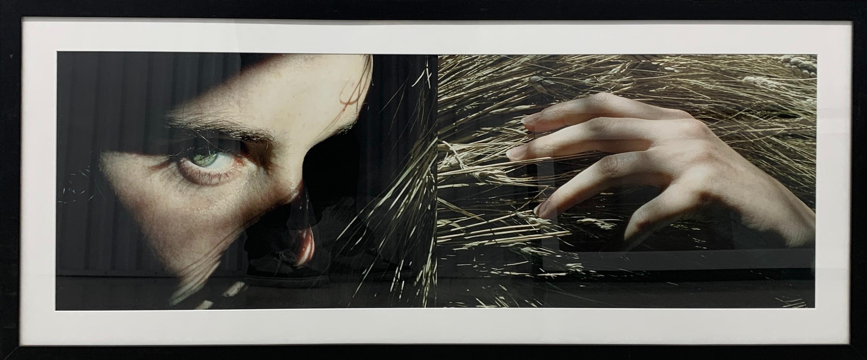 Harvest Diptych - Photograph by Stephen Roach