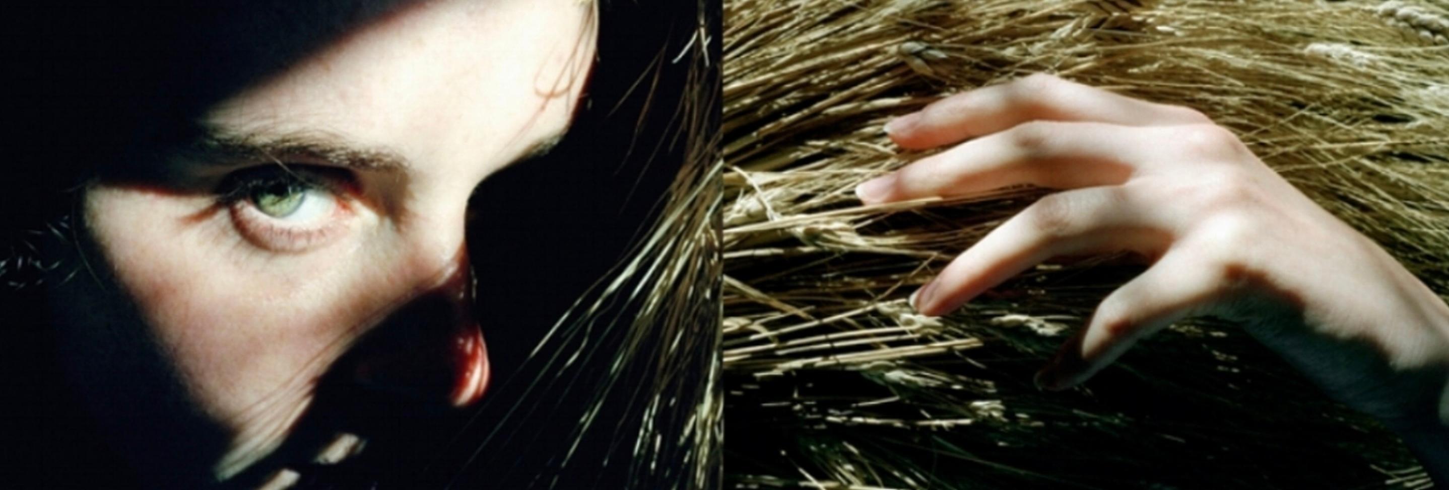 Harvest Diptych