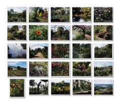 La collezione completa di Giverny, stampa firmata da Stephen Shore