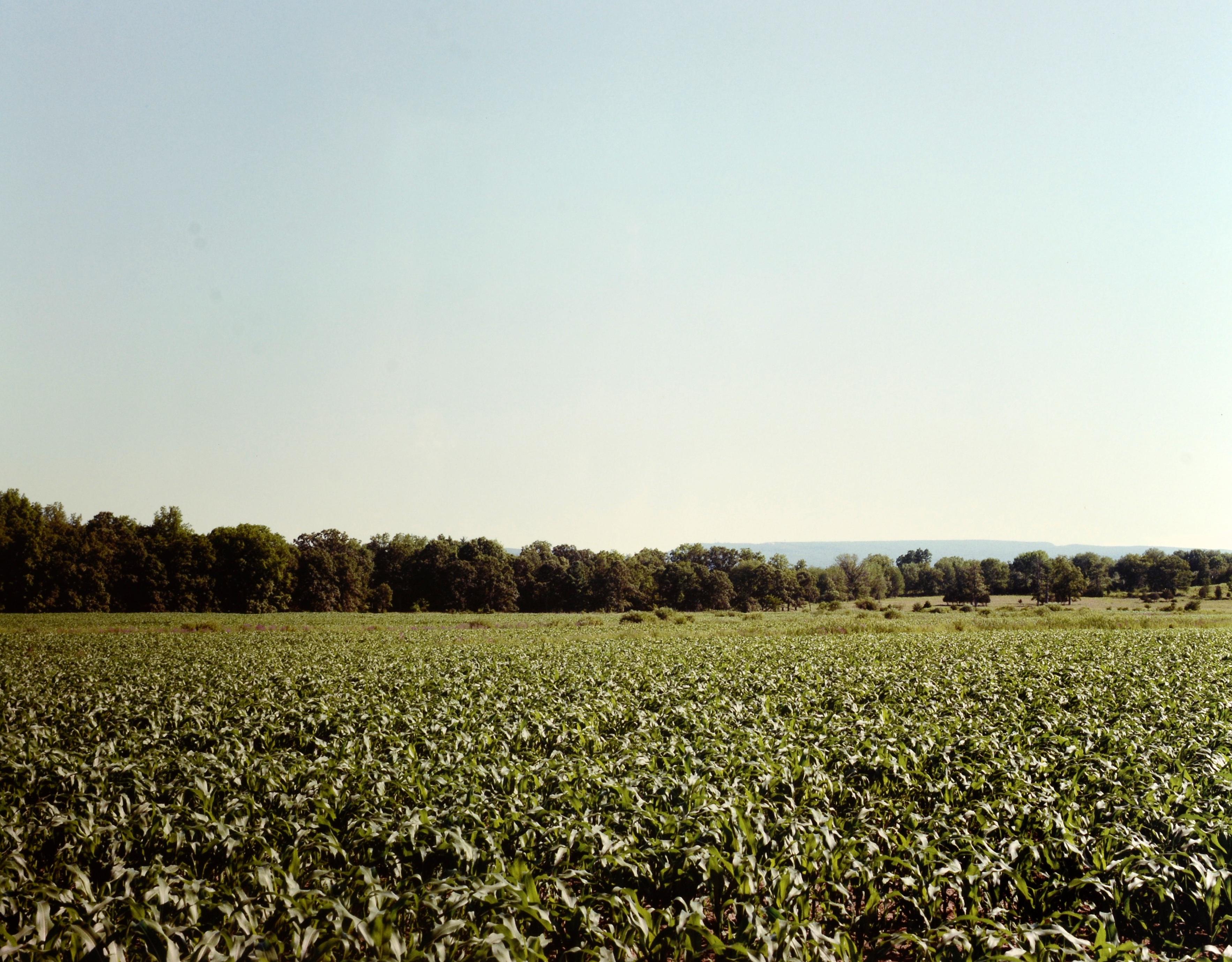 Stephen Shore : The Hudson Valley : Blind Spot Series 01, 1ère édition limitée 1/1000 en vente 7