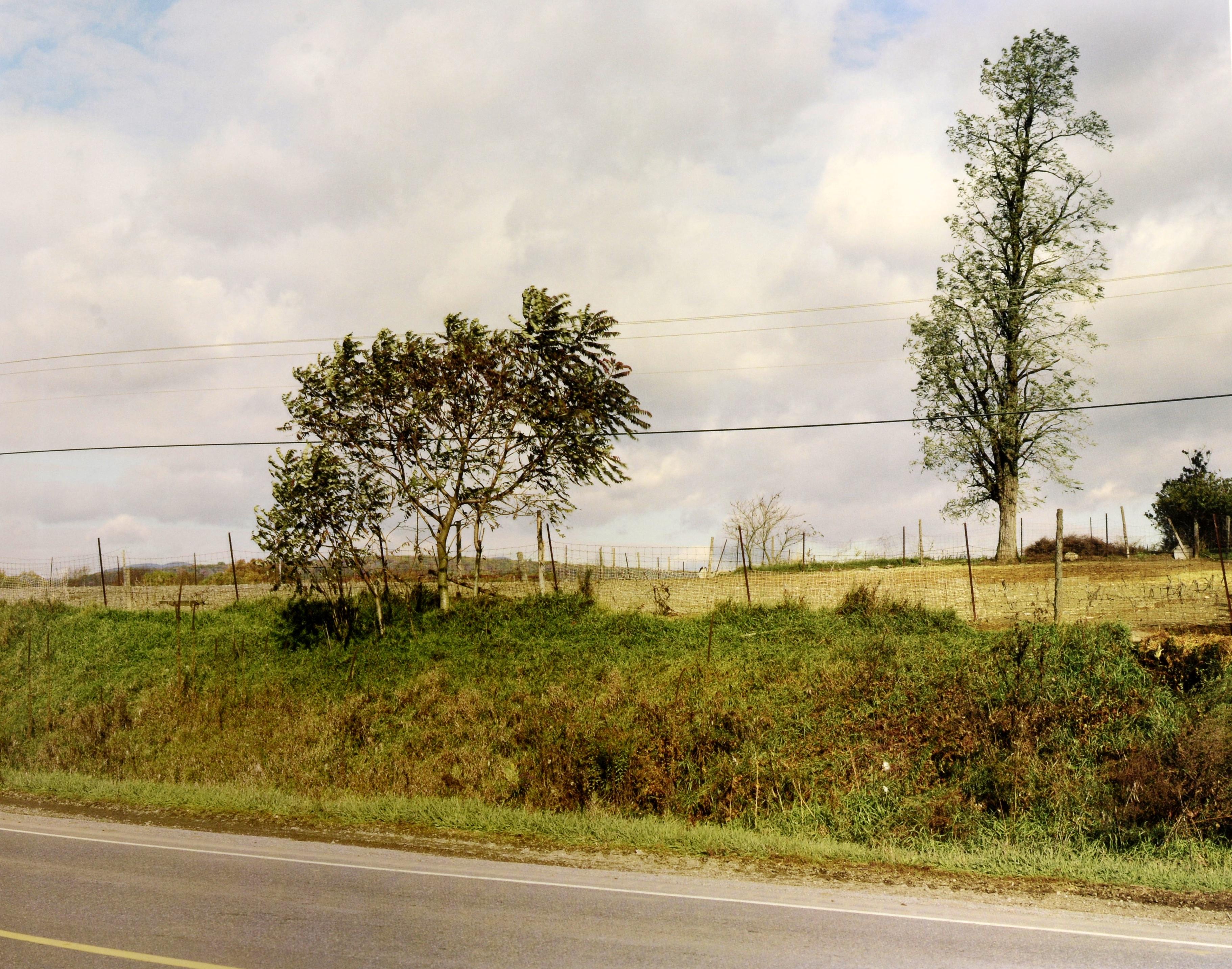 Stephen Shore : The Hudson Valley : Blind Spot Series 01, 1ère édition limitée 1/1000 en vente 9