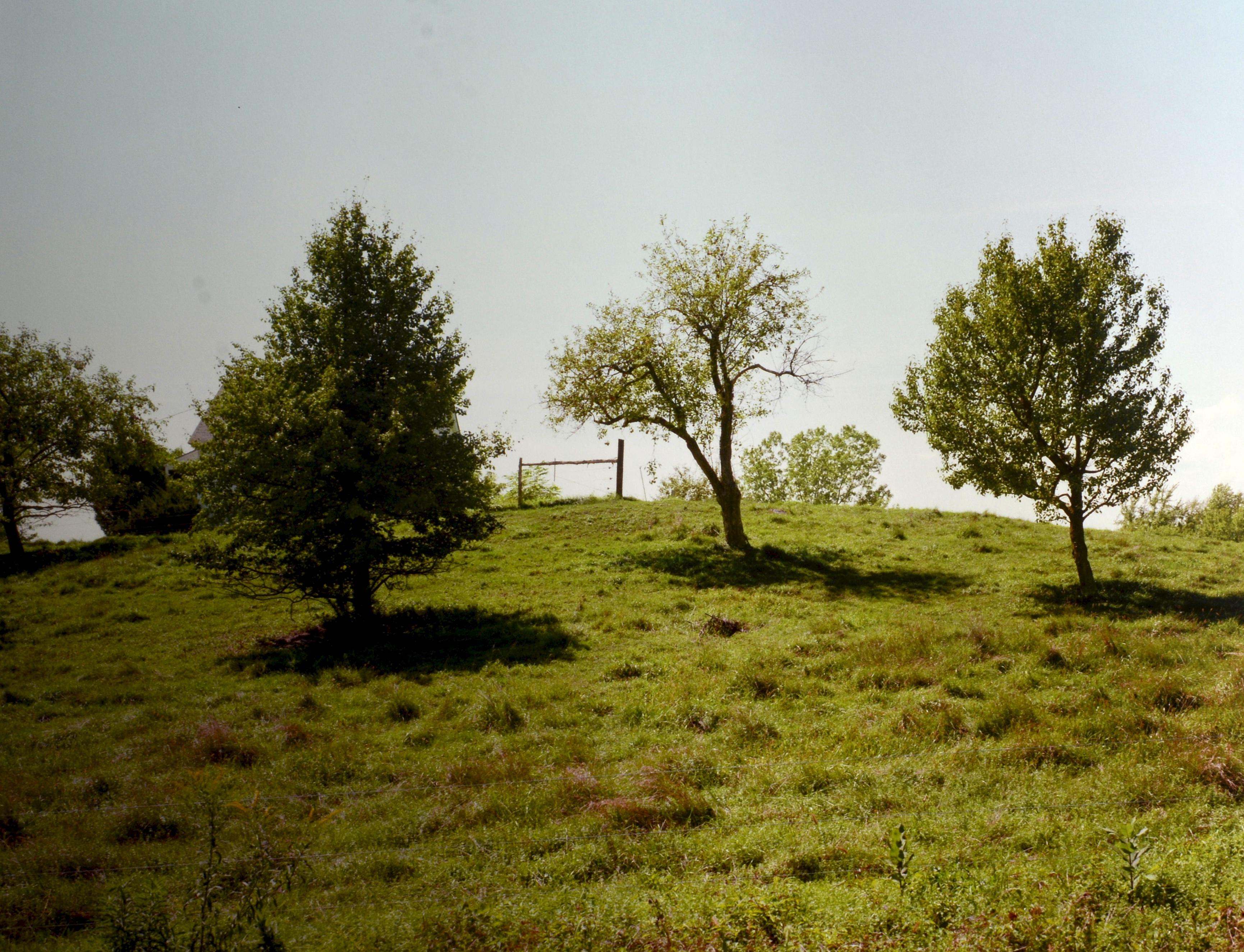 Stephen Shore : The Hudson Valley : Blind Spot Series 01, 1ère édition limitée 1/1000 en vente 10