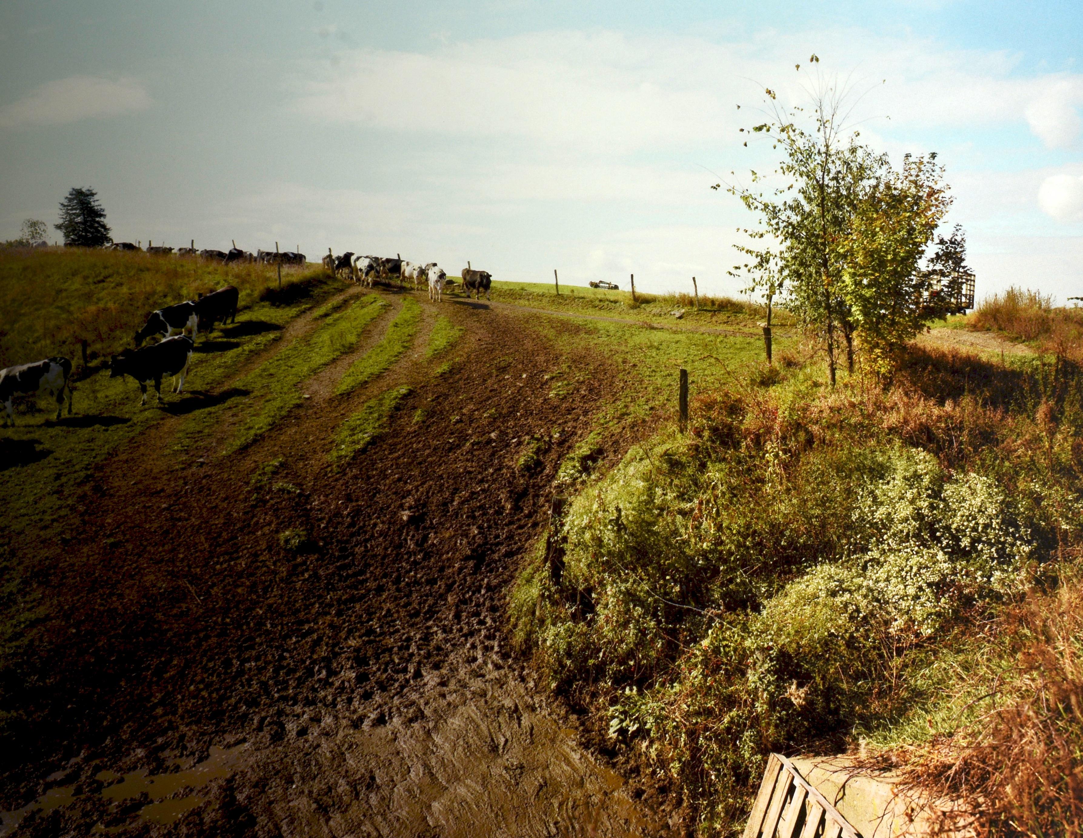 Stephen Shore : The Hudson Valley : Blind Spot Series 01, 1ère édition limitée 1/1000 en vente 12