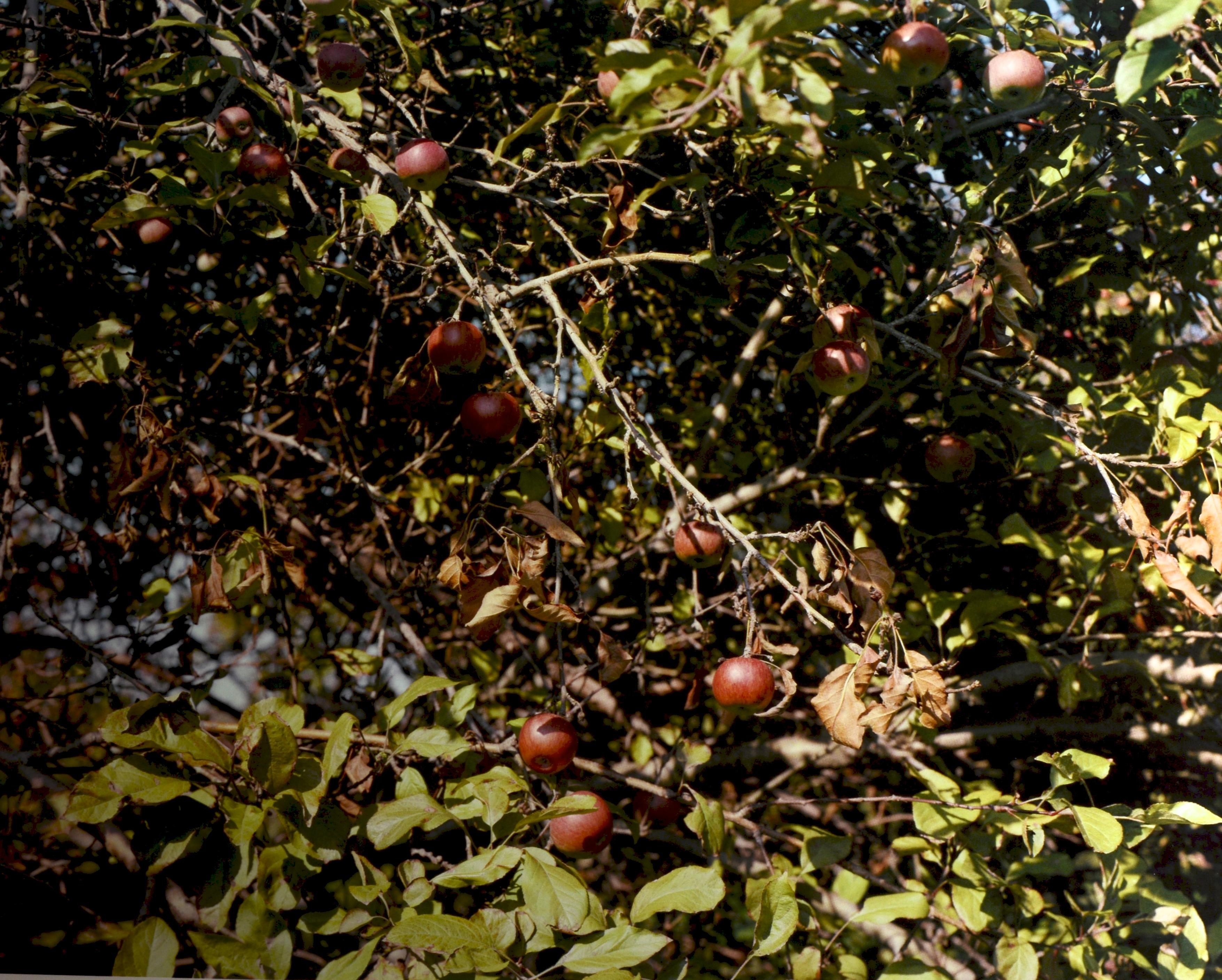 Stephen Shore : The Hudson Valley : Blind Spot Series 01, 1ère édition limitée 1/1000 en vente 13