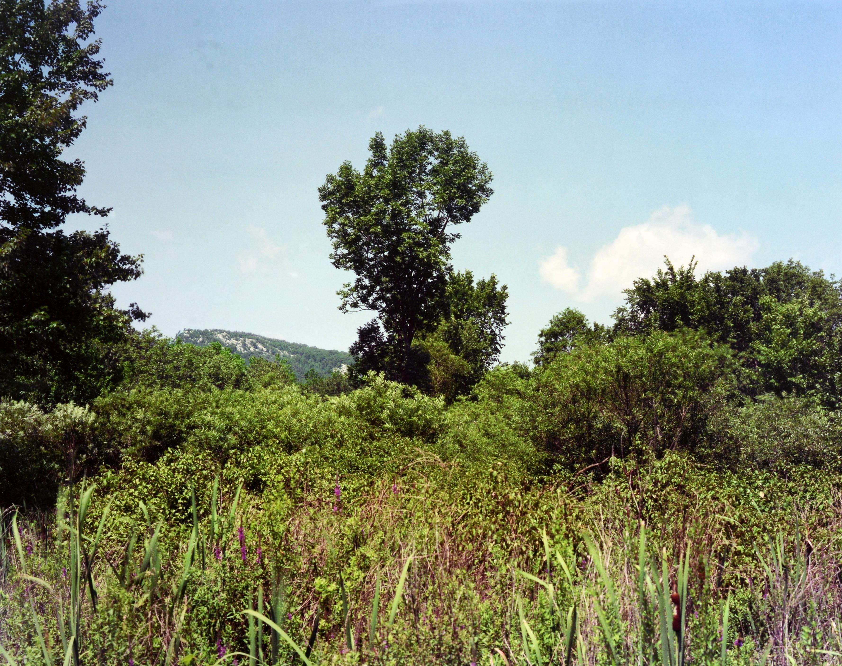 Stephen Shore : The Hudson Valley : Blind Spot Series 01, 1ère édition limitée 1/1000 Excellent état - En vente à valatie, NY