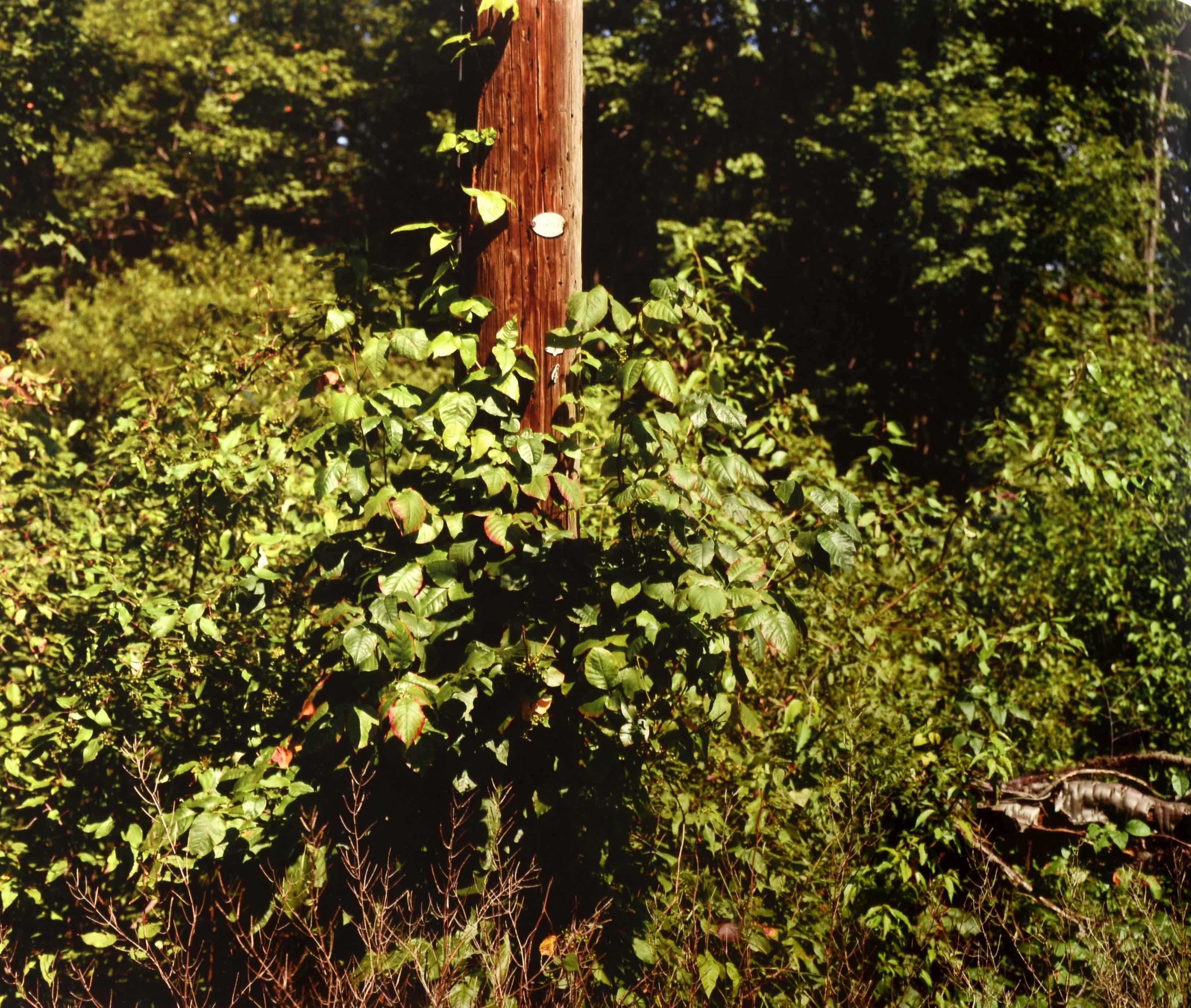 Stephen Shore : The Hudson Valley : Blind Spot Series 01, 1ère édition limitée 1/1000 en vente 1