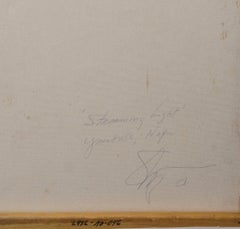 STREAMING LIGHT, YOUNTVILLE NAPA