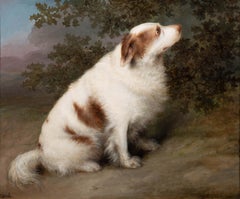 'Carlo', a spaniel in a landscape