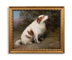 'Carlo', a spaniel in a landscape