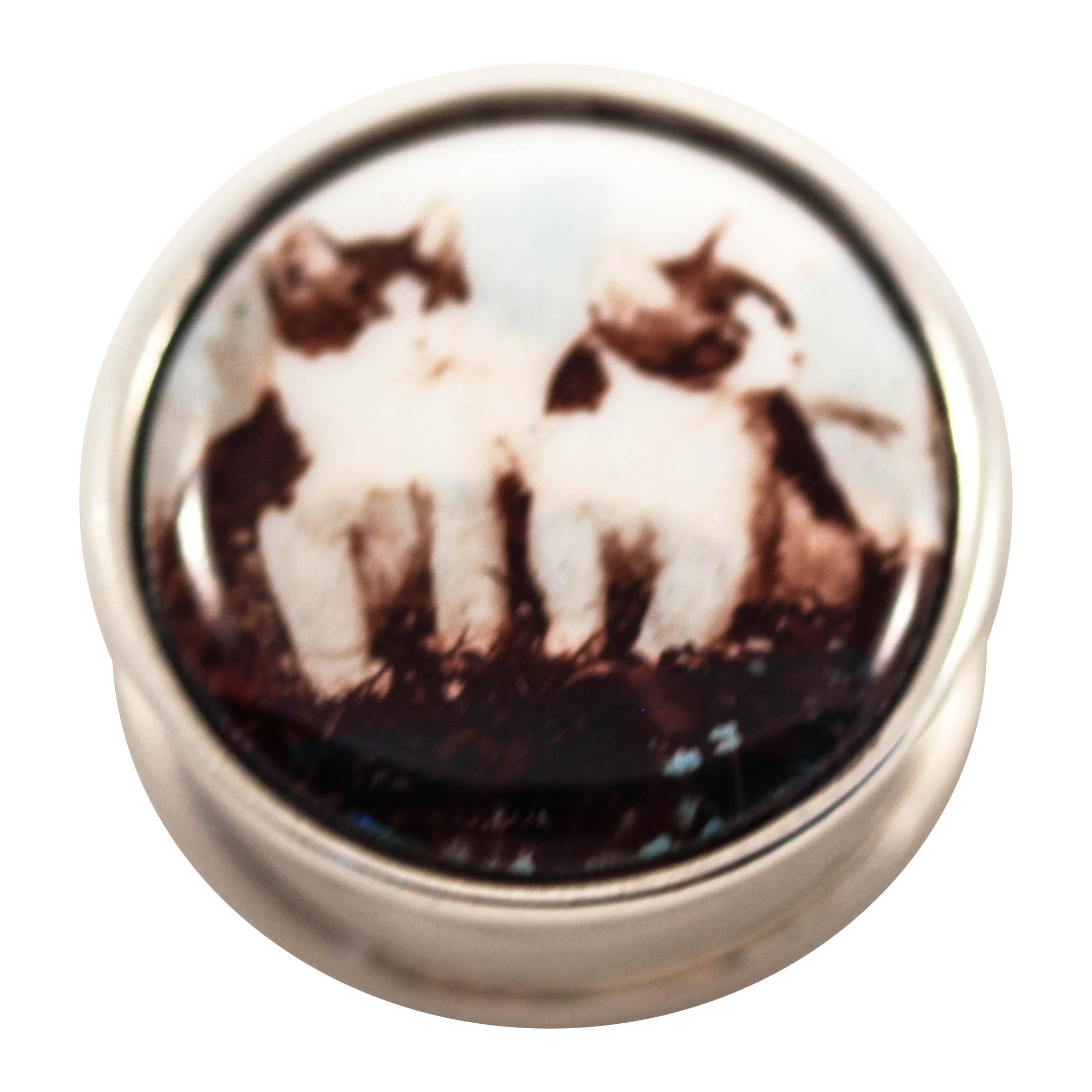 ﻿Sterling and Enamel Kittens Pillbox For Sale