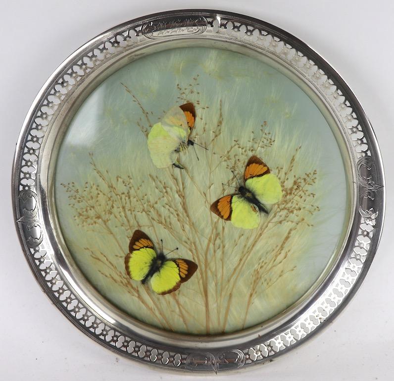 Charming early 20th century traywuth sterling rim, and naturalist buttterflies, and foliate tray surface. Clean, original and ready to use condition. Marked Sterling and has makers touchmarks.