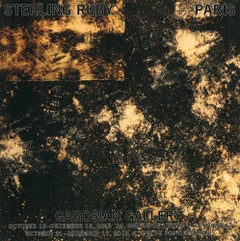 Sterling Ruby 'Paris' 2015