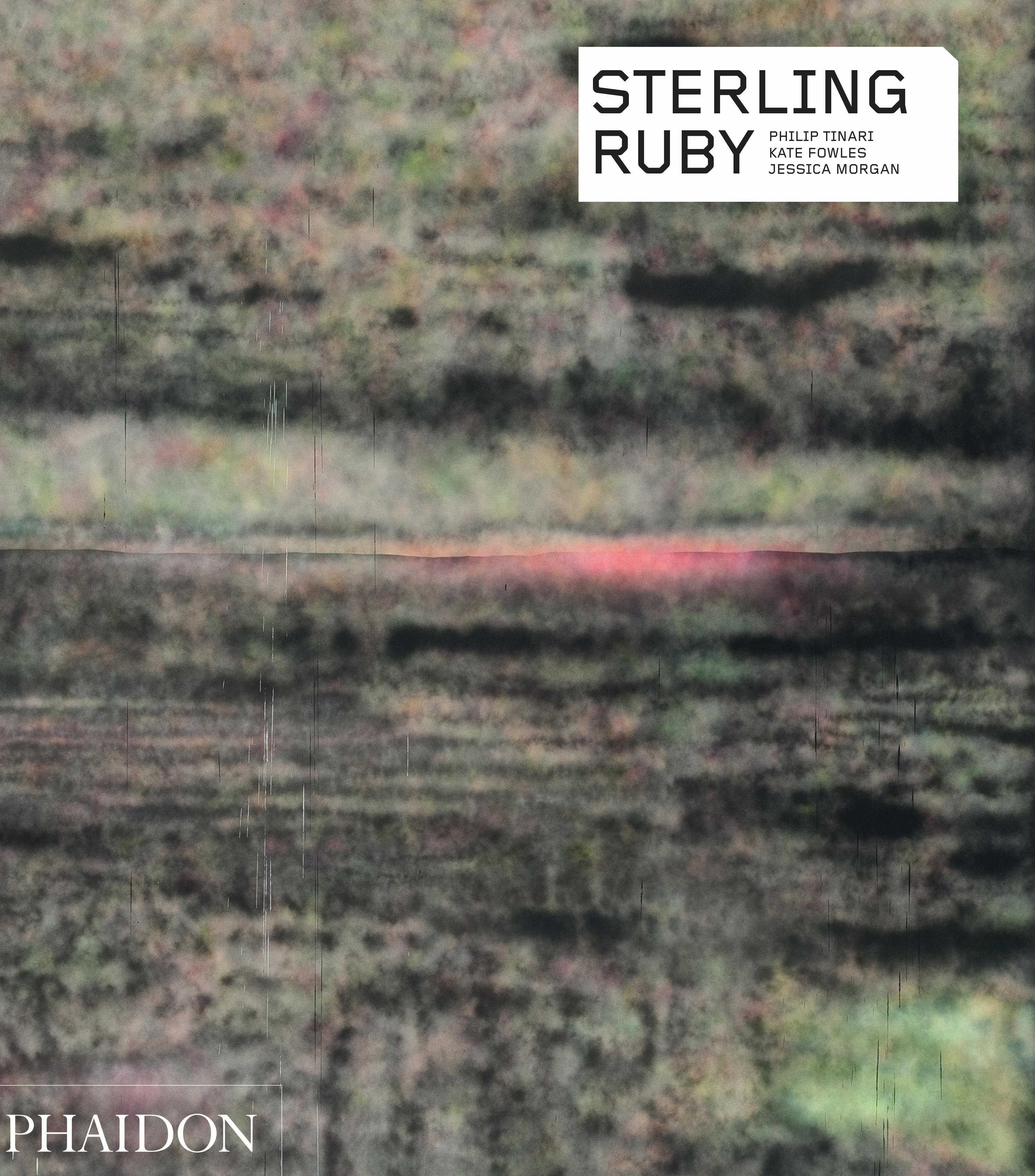 Sterling Ruby 'Phaidon Contemporary Artists Series' For Sale 3