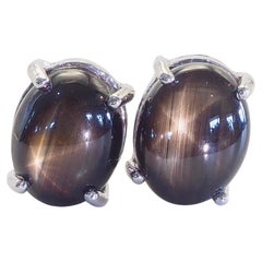 Orecchini a perno in argento sterling con zaffiro nero a stella da 6,32 carati Orecchini a perno in argento sterling con zaffiro nero a stella da 6,32 carati