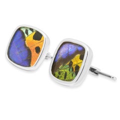 Gemelli a farfalla in argento e acrilico