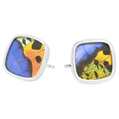 Gemelli a farfalla in argento e acrilico