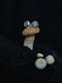 Sterling Silver and Chalcedony, Porcini Ring Chalcedony by Nathalie Edenburg