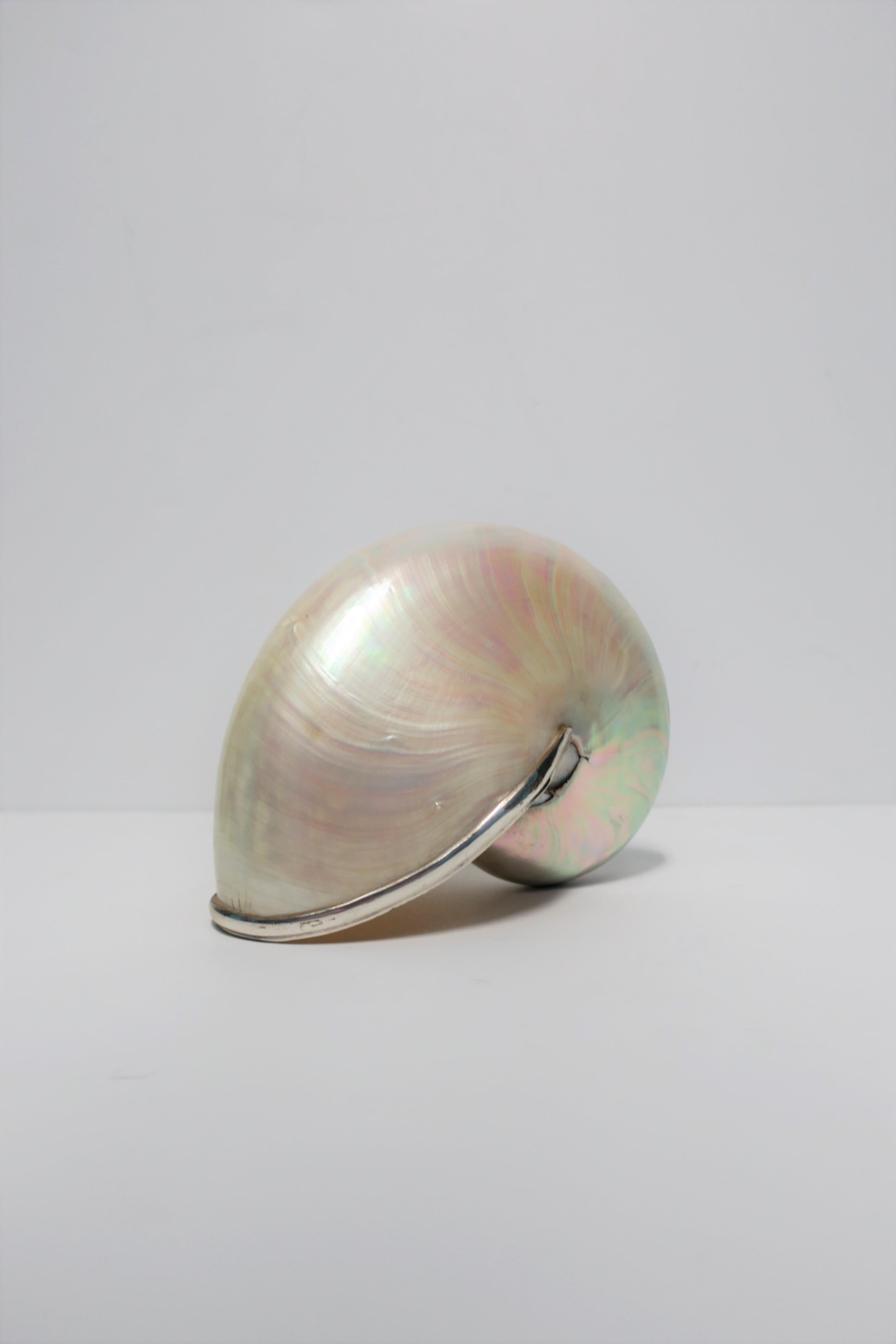 A very beautiful white mother-of-pearl nautilus seashell trimmed in silver metal. Seashell is a nice size measuring: 3.75