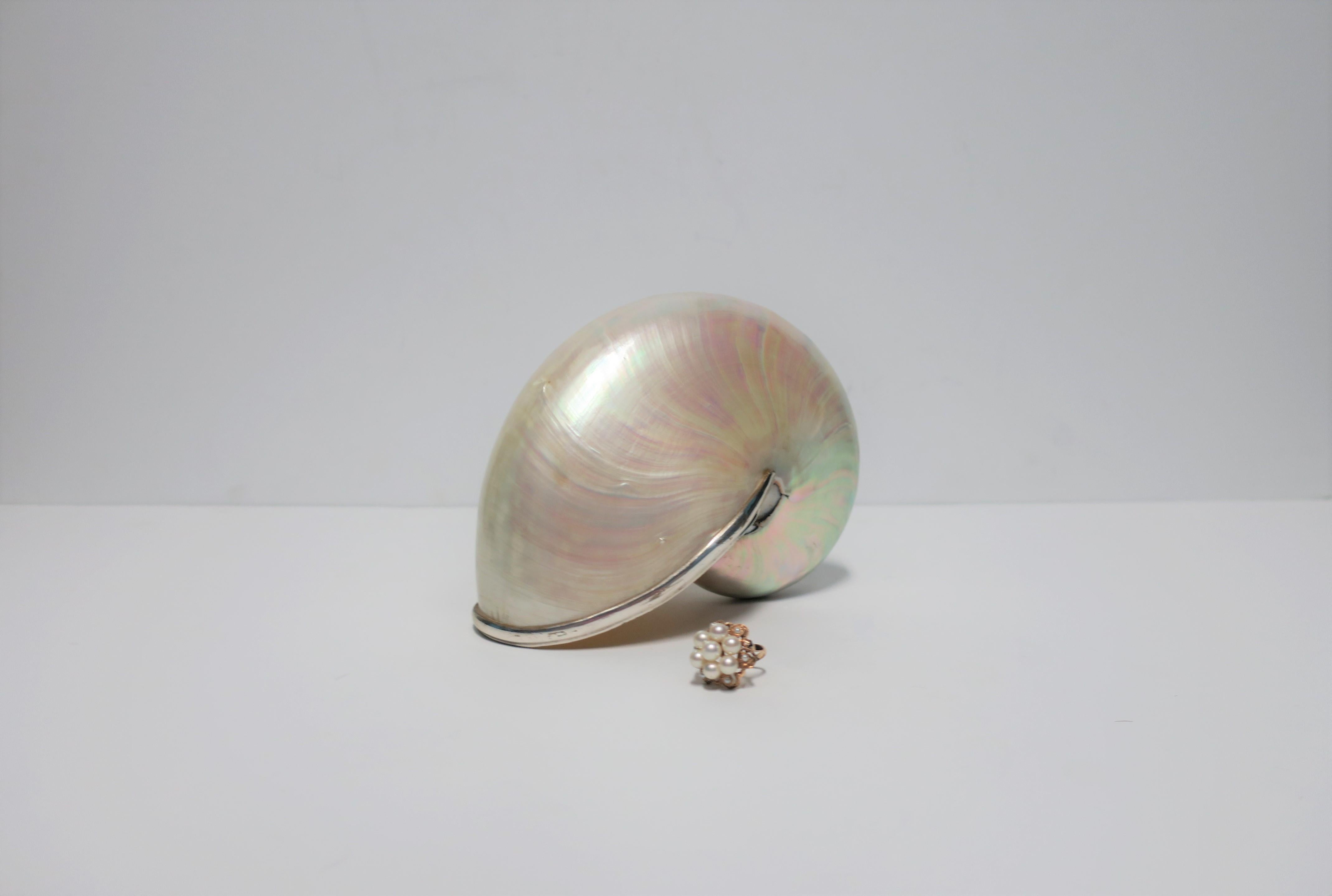 White Mother-of-Pearl Nautilus Seashell In Good Condition In New York, NY
