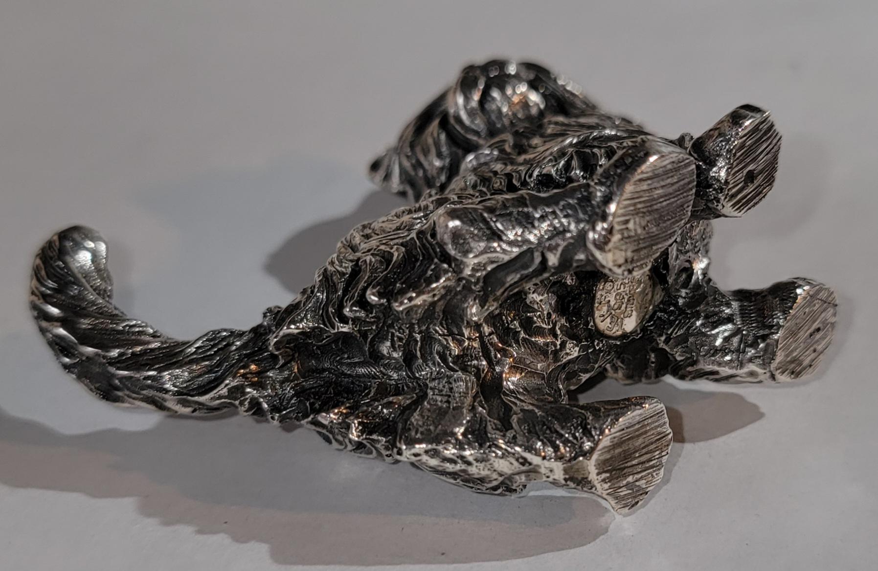 Gato de plata de ley Estadounidense en venta