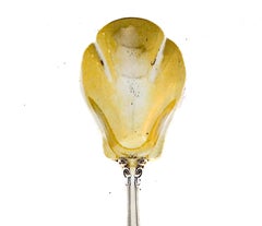 Sterling Silver “Chantilly” Spoon