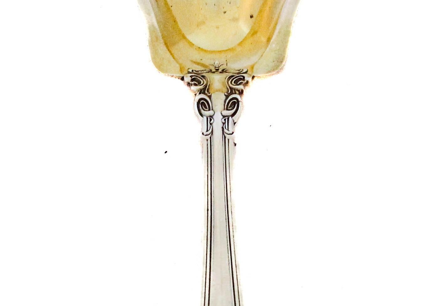 Cuchara 
