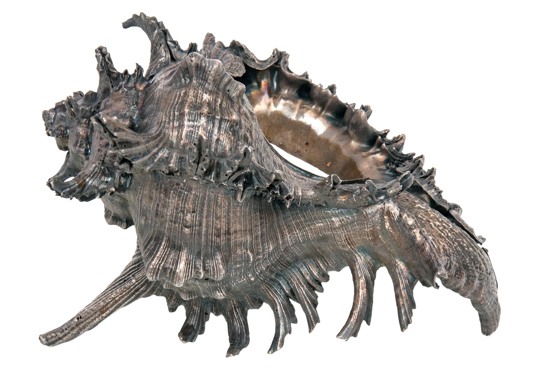 Organico moderno Sterling Silver Clad Conch Shell in vendita