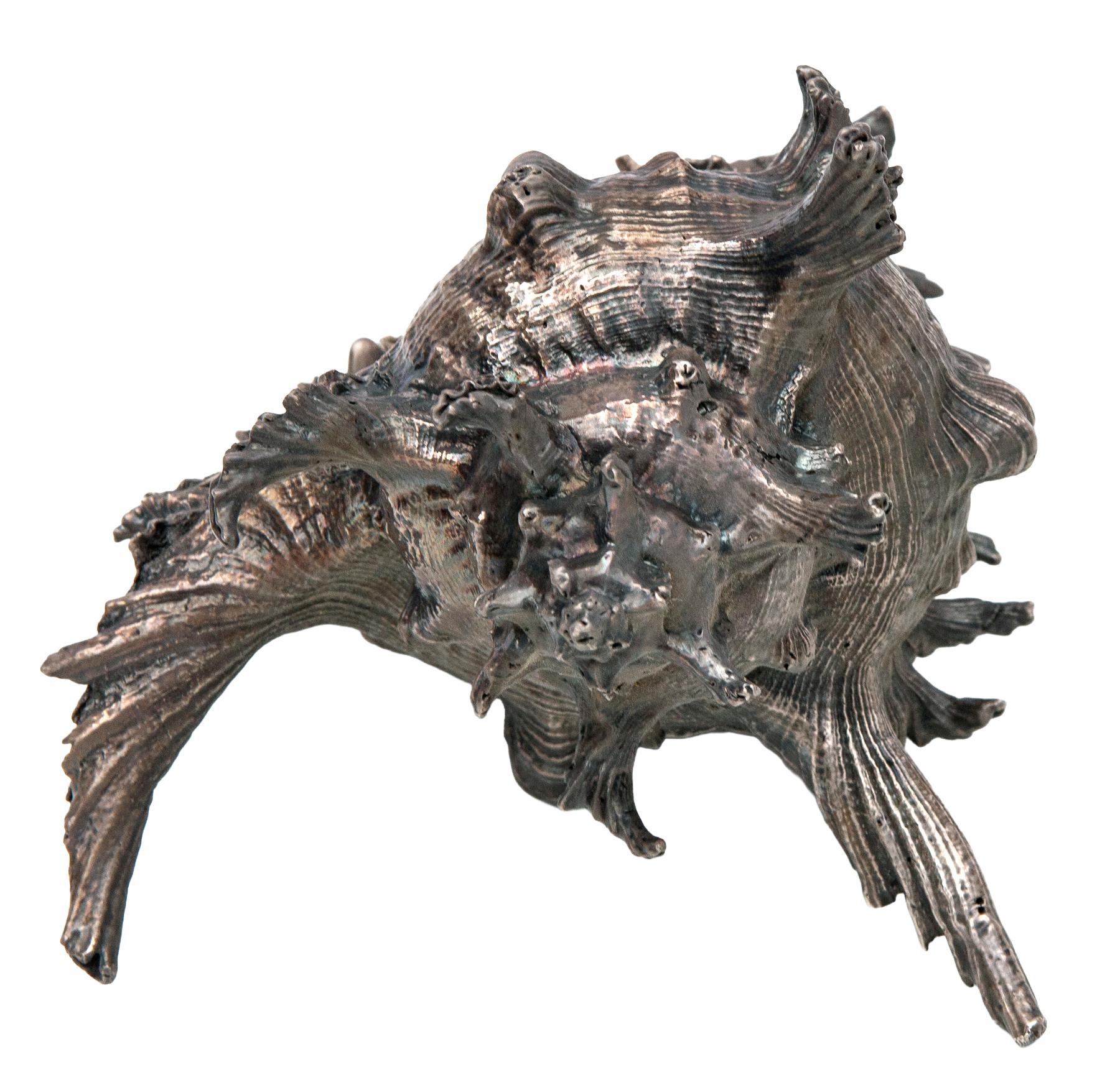 Francese Sterling Silver Clad Conch Shell in vendita