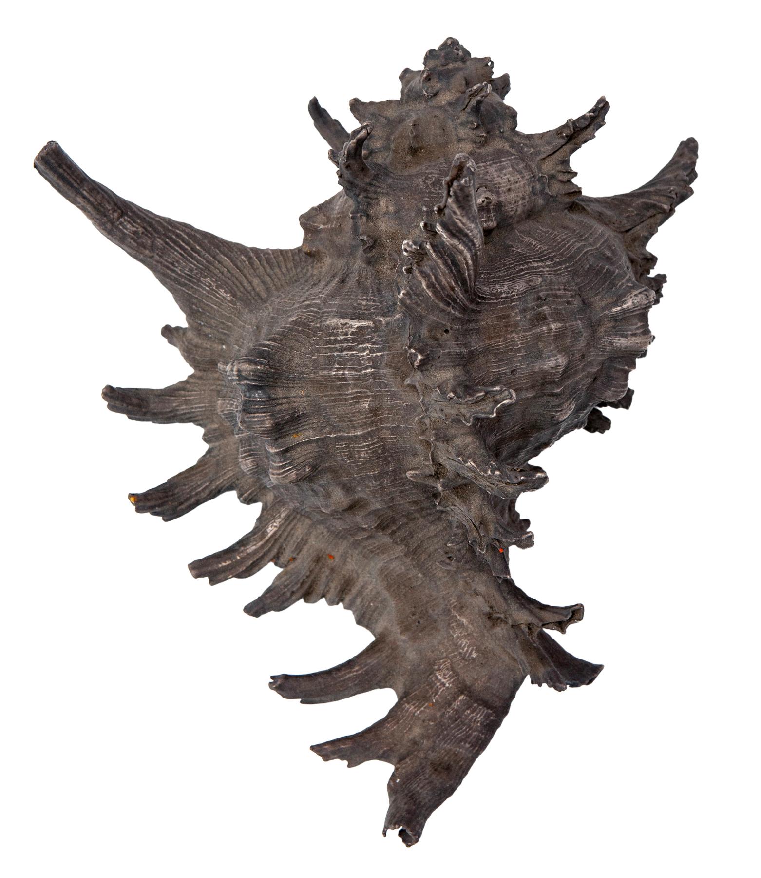 Sterling Silver Clad Conch Shell In condizioni ottime in vendita a Malibu, CA