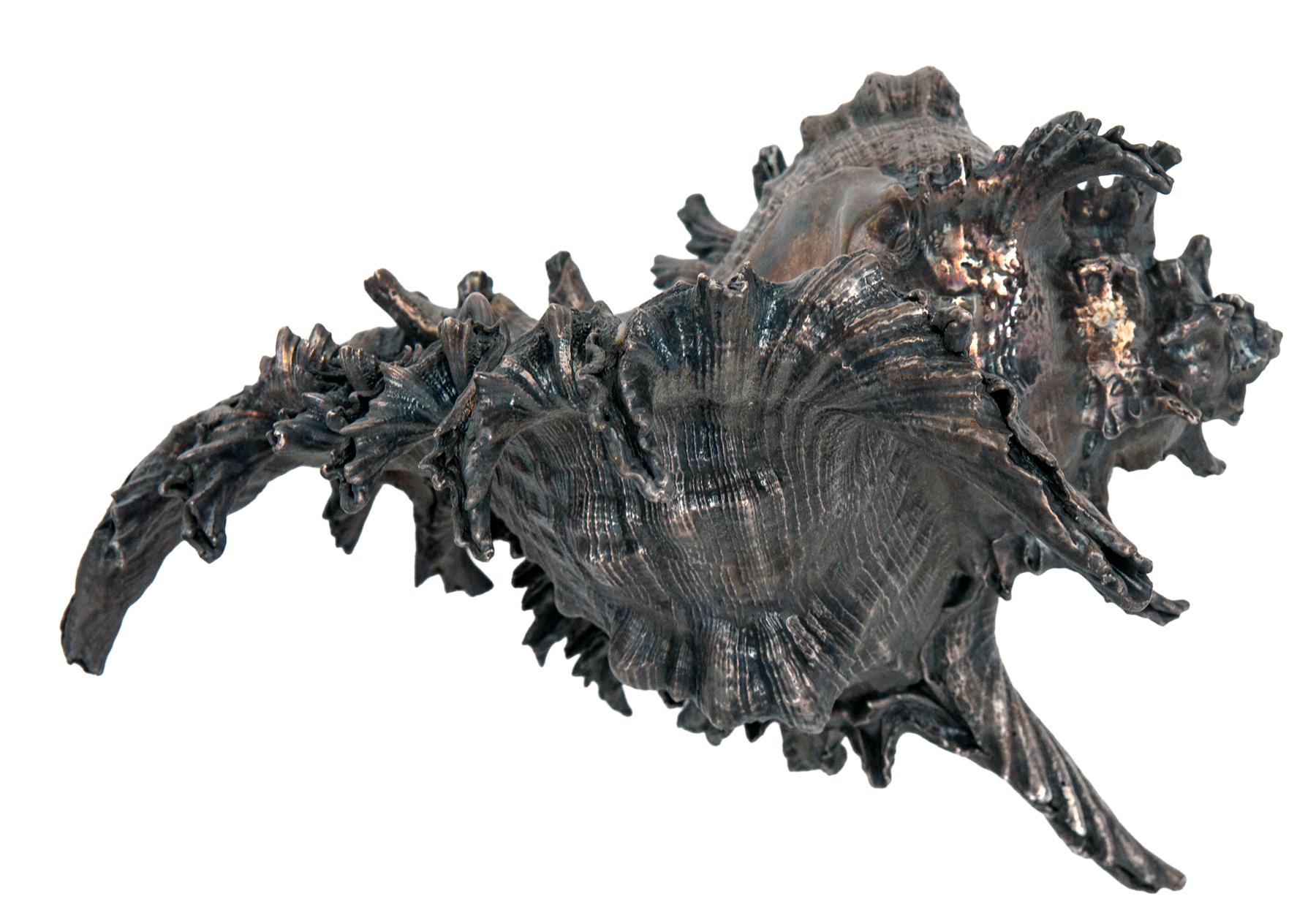 XX secolo Sterling Silver Clad Conch Shell in vendita