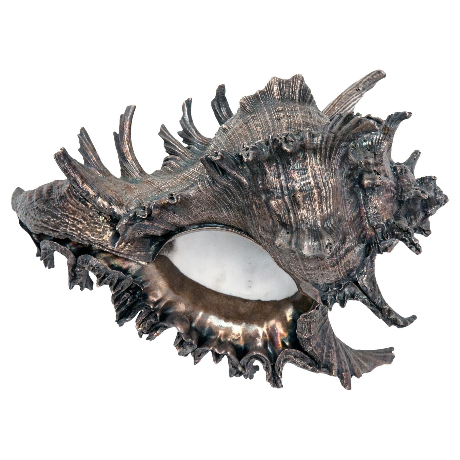 Sterling Silver Clad Conch Shell