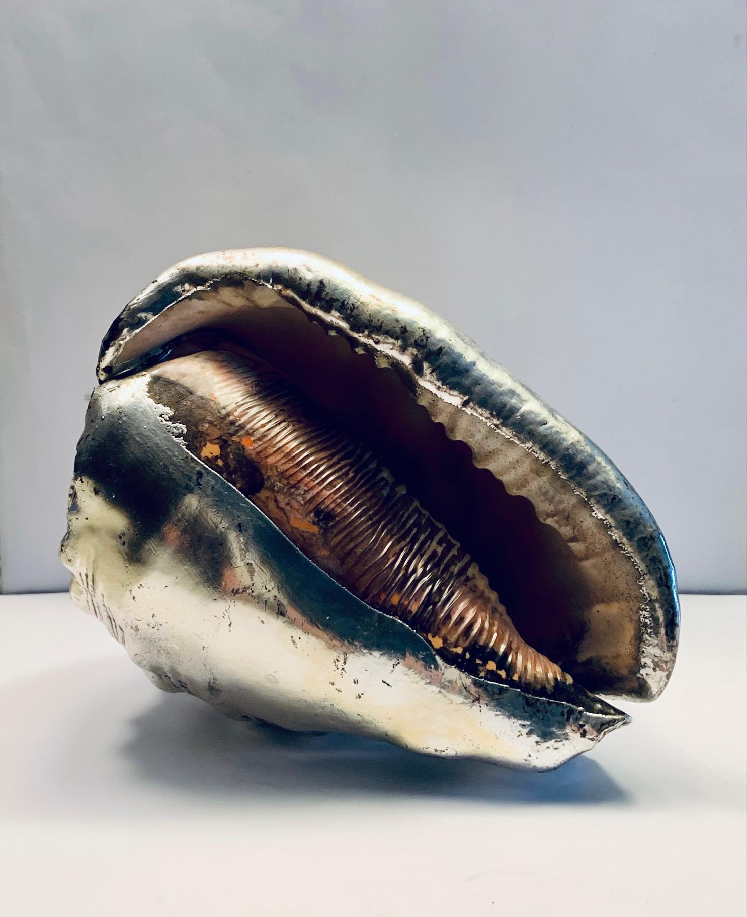 Women's or Men's Sterling Silver Covered Sea Shell in the style of Buccelatti