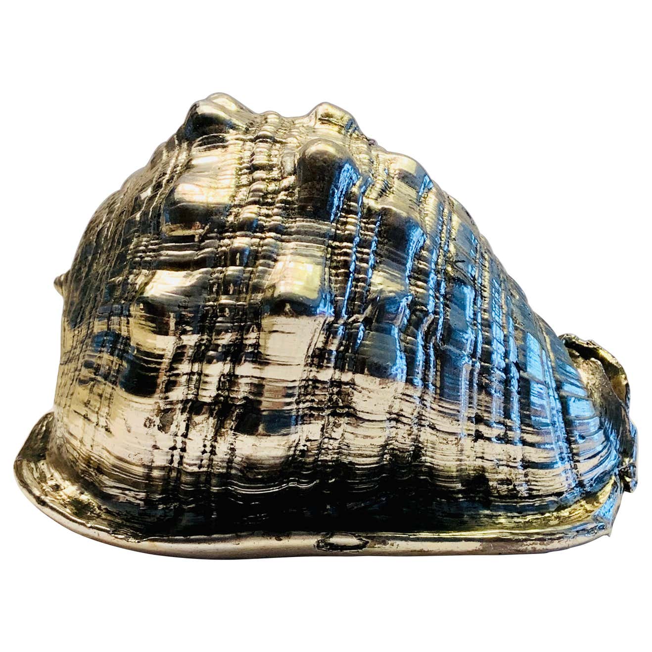 Sterling Silver Covered Sea Shell in the Style of Buccellati at 1stDibs