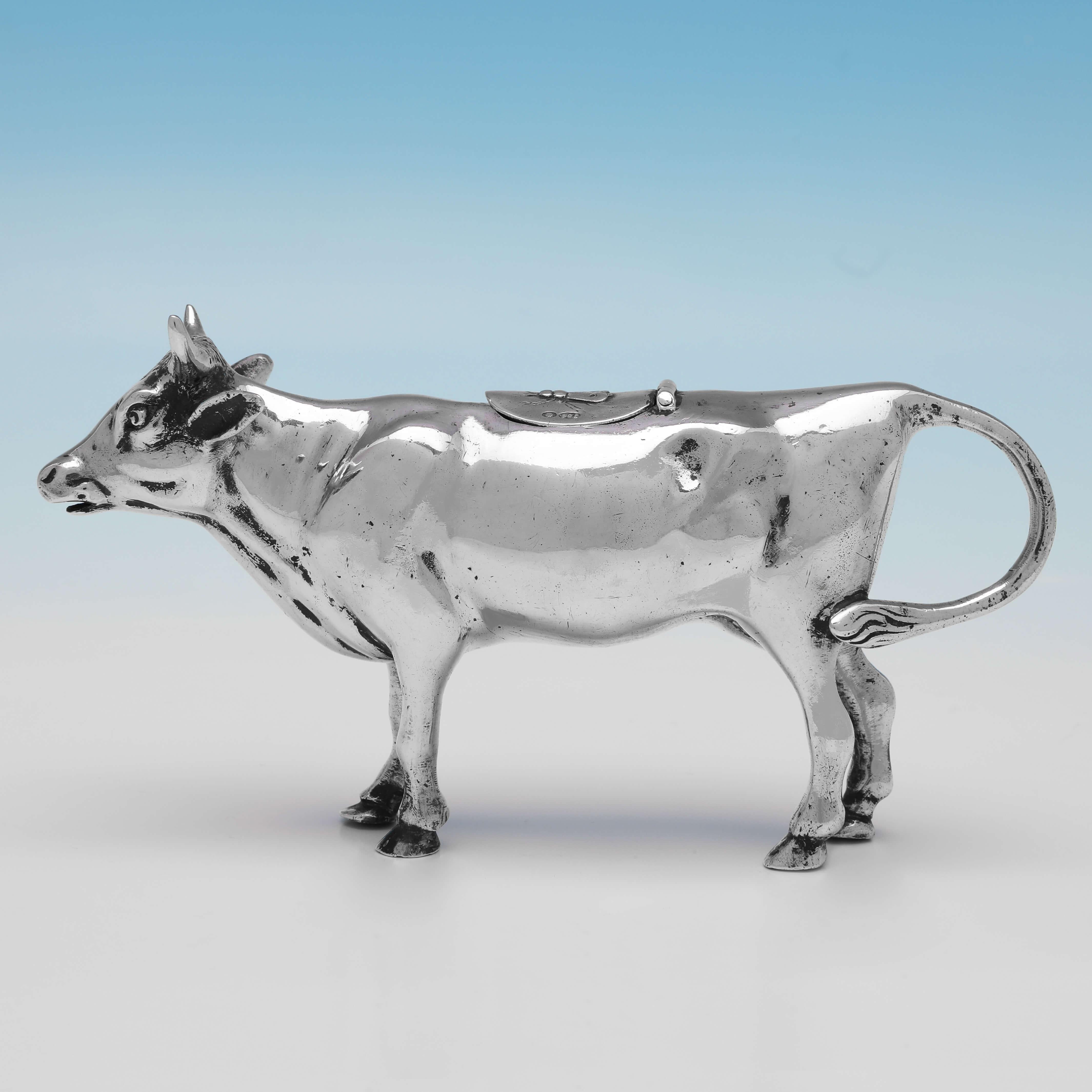 Carrying import marks for London in 1905 by John George Piddington, this handsome, Edwardian, Antique Sterling Silver Cow Creamer is well modelled, measuring 3